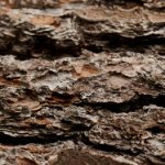 sofantastico:探索生活中的奇妙与惊喜,发现无限可能性 z94971r